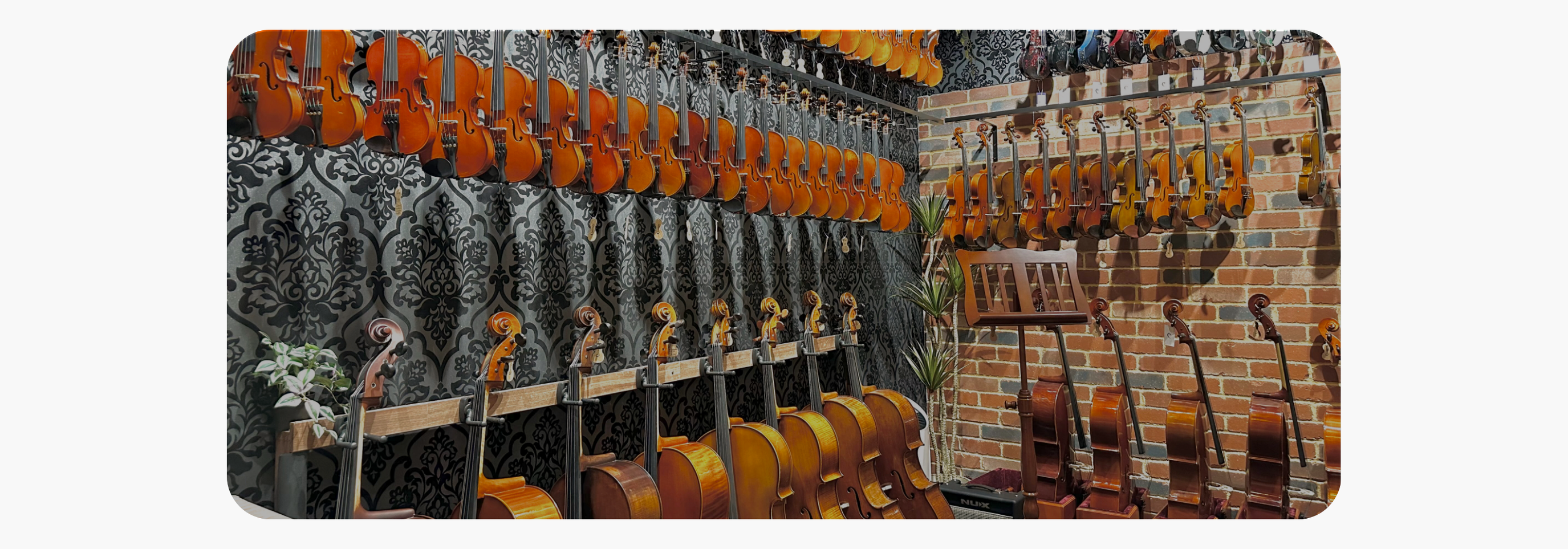 Orchestral String Instruments